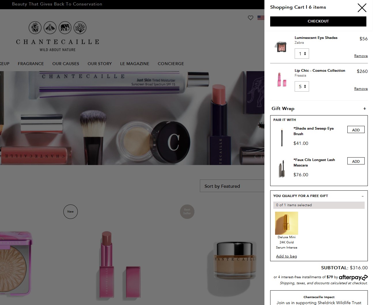 Chantecaille custom JavaScript mini cart for Shopify Plus with multi-currency support